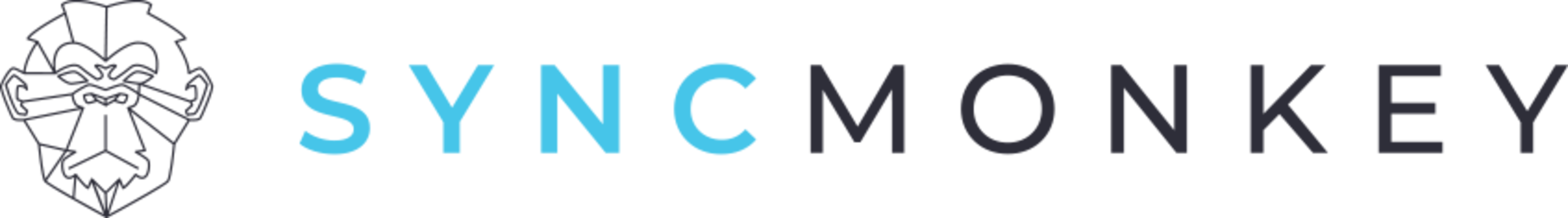 SyncMonkey logo