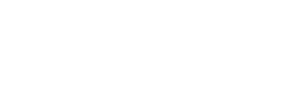 Vuca Solution logo