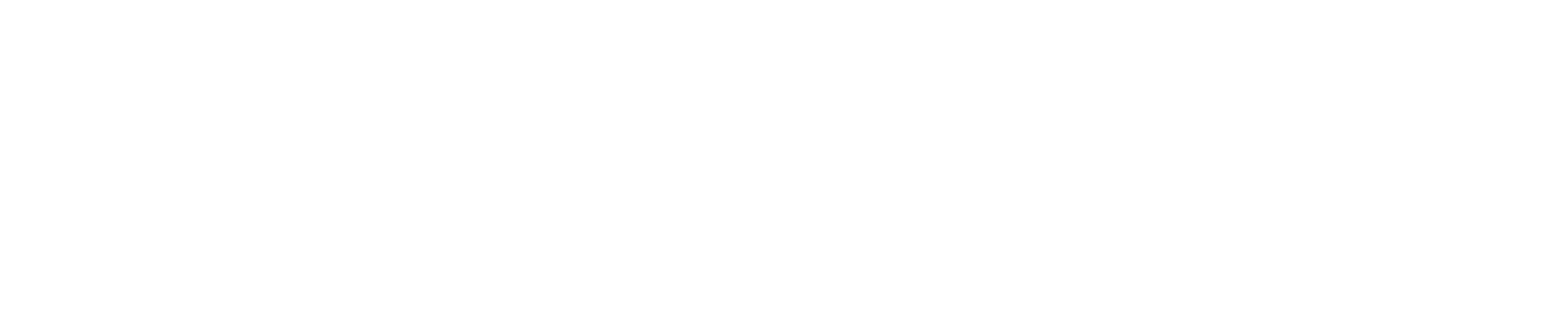 RiveHost logo