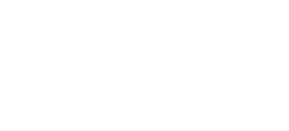 Venice logo