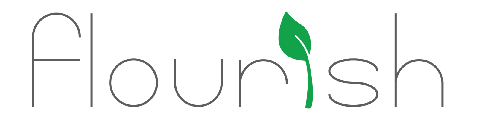 Flourish Software logo