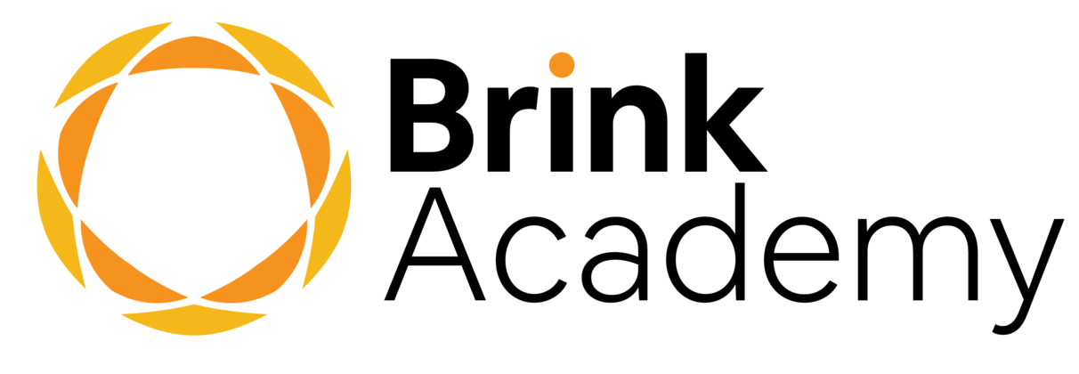 Brink Academy logo