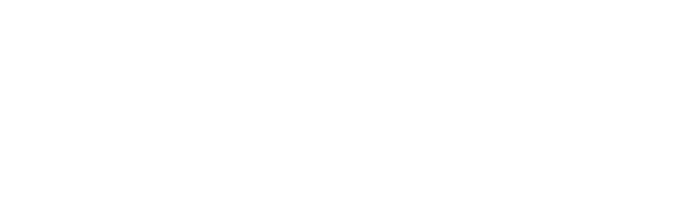 Nets Easy logo