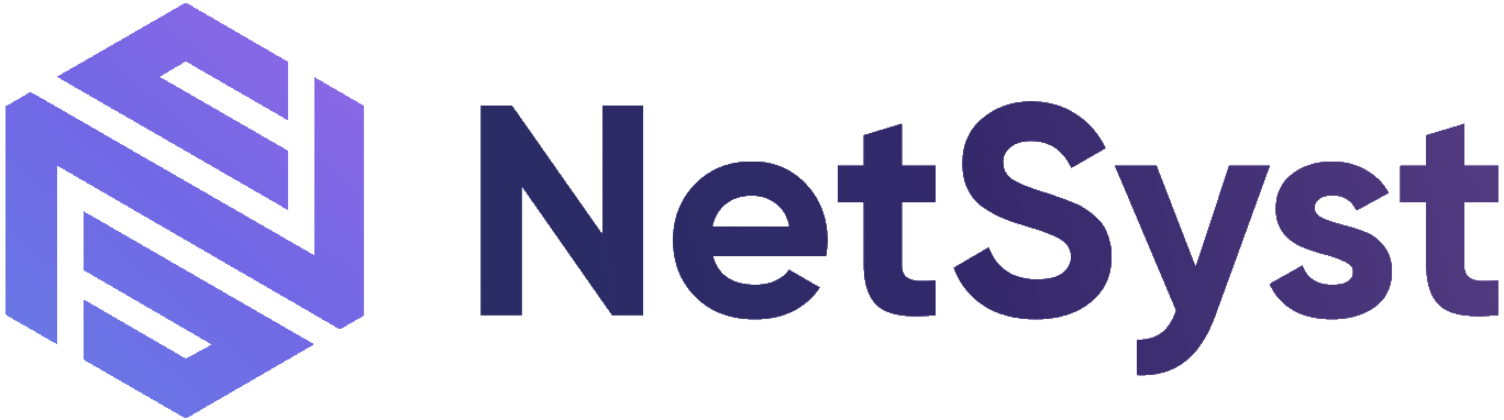 NetSyst logo