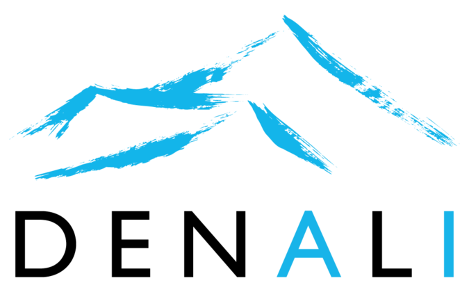 Denali Information Services Status Page logo