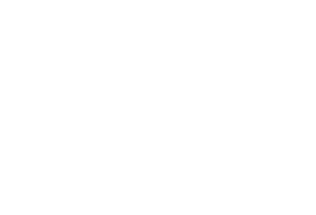WiiLink logo