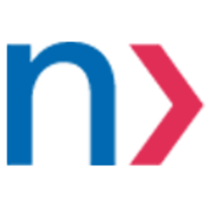 Network International Services logo