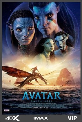 AVATAR CALEA APEI 2022 Vezi Online logo
