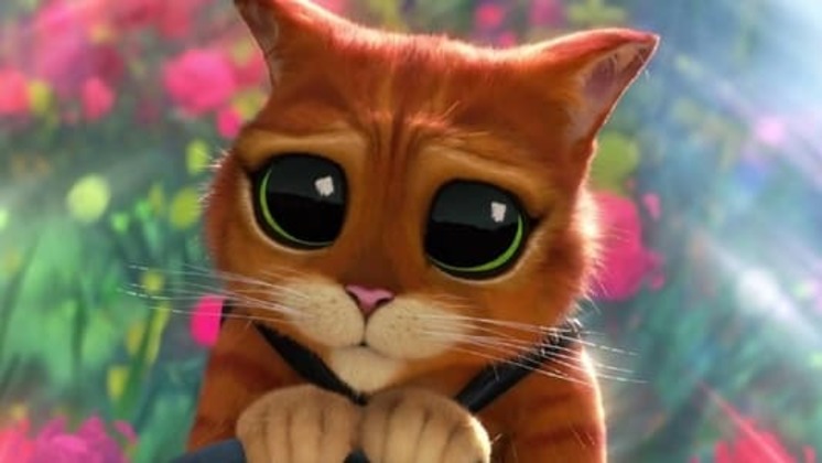 [PelísPlus] El Gato con Botas: El último deseo (2022) PELICULA 𝐎nline Gratis en 𝗲spañol Latino 𝟏𝟎𝟖𝟎𝐩 logo