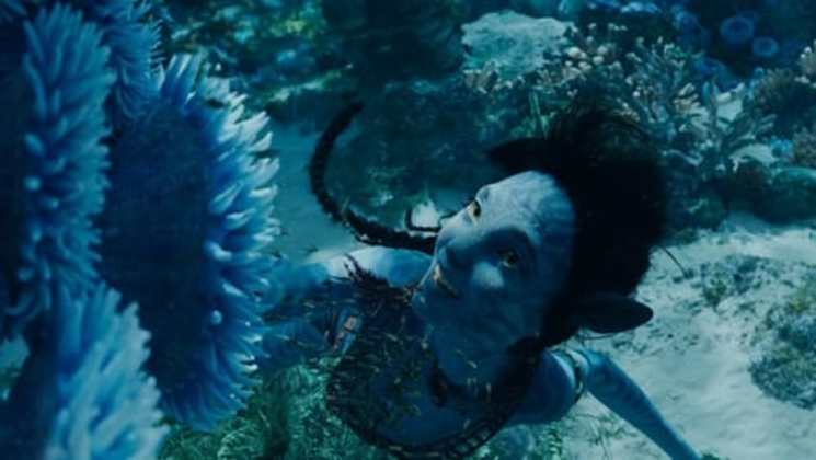 Avatar: El camino del agua (2022) Pelicula Completa en Español Latino logo