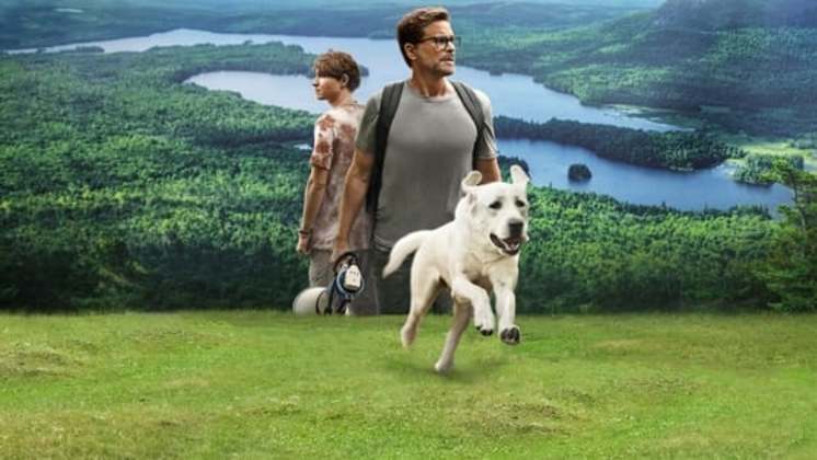 ver online Perro perdido la película de fantasia en Español / Castellano - FULL HD logo