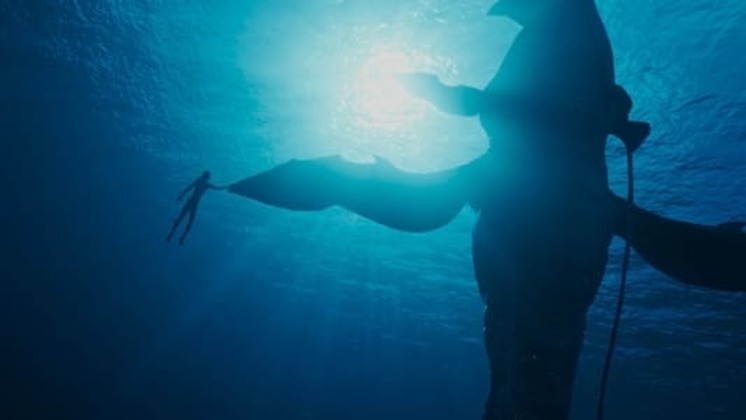[Ver-Cuevana 3] Película completa Avatar: El sentido del agua | Online Español y Latino logo