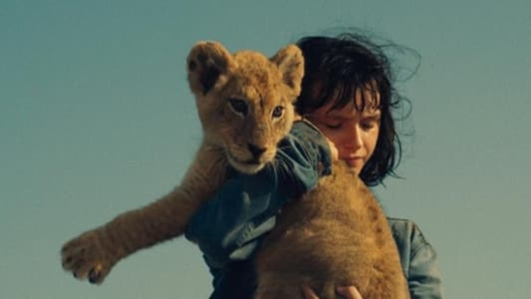 Ver King, mi pequeño rey 2022 Película Completa Online en Español y Latino logo