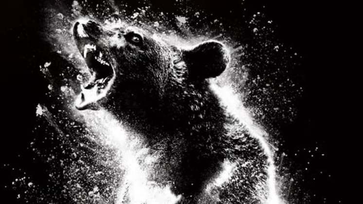 Oso intoxicado (2023) Pelicula Completa en Español Latino logo