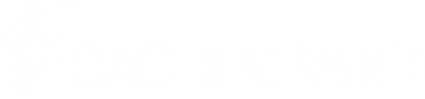 cachegrand cloud logo