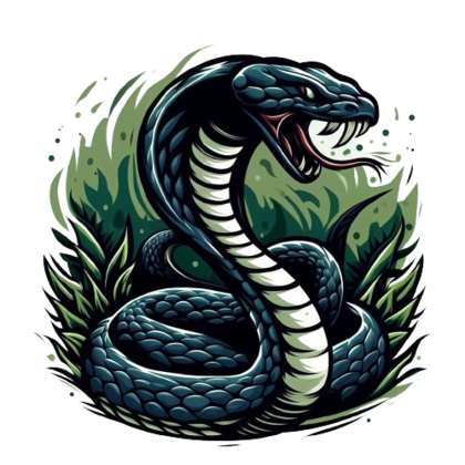 Cobra Systems logo