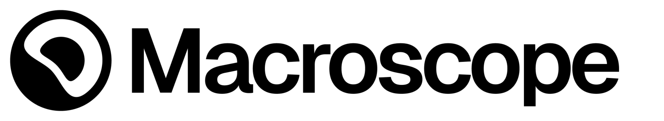 Macroscope logo