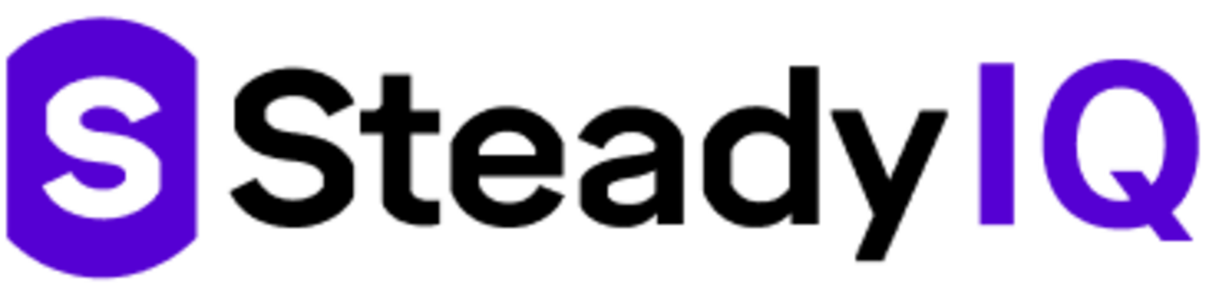 SteadyIQ logo