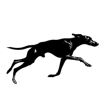 Page logo