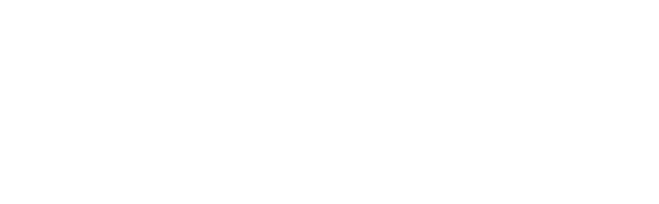 Wero logo