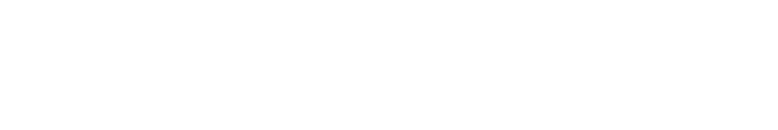 Pocketflows logo