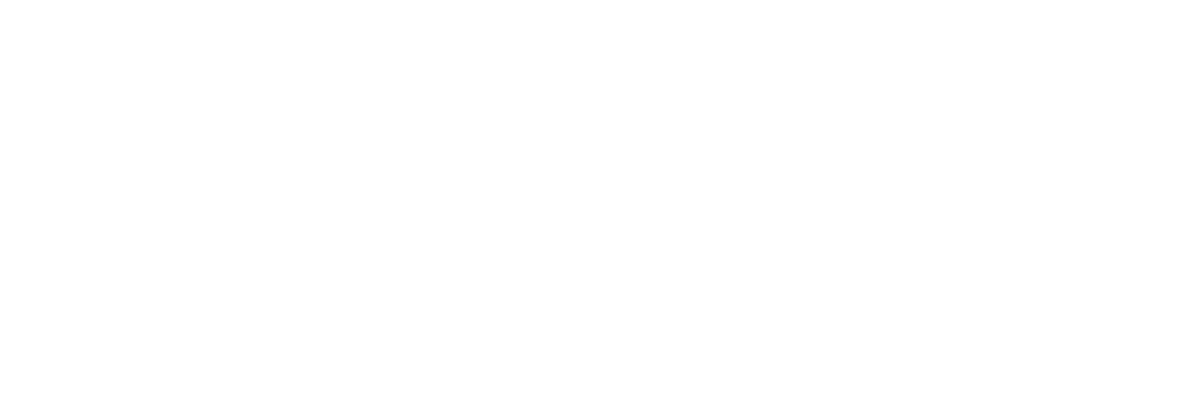 Arctic Wolf Public logo