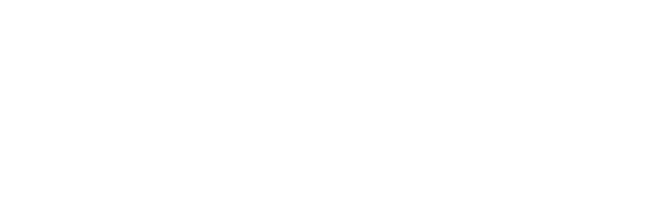 BankSocial logo