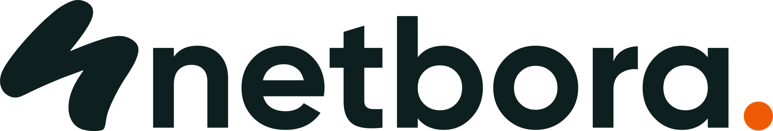 Netbora Ltd logo