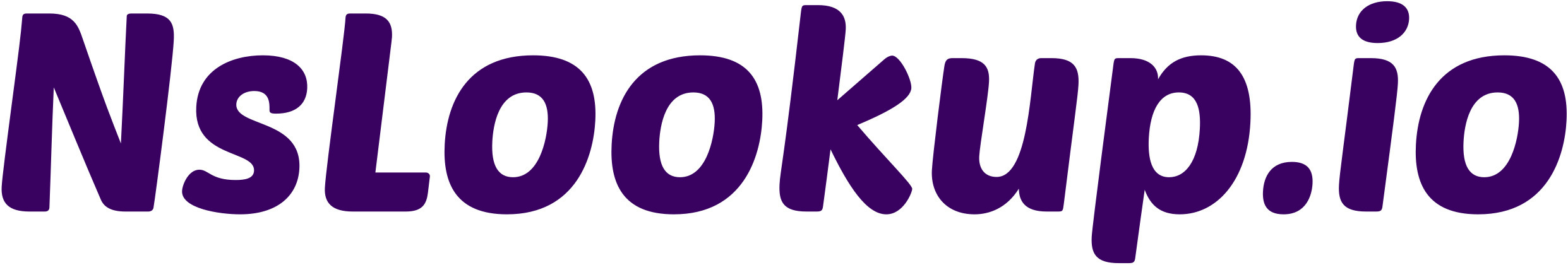 Nslookup logo