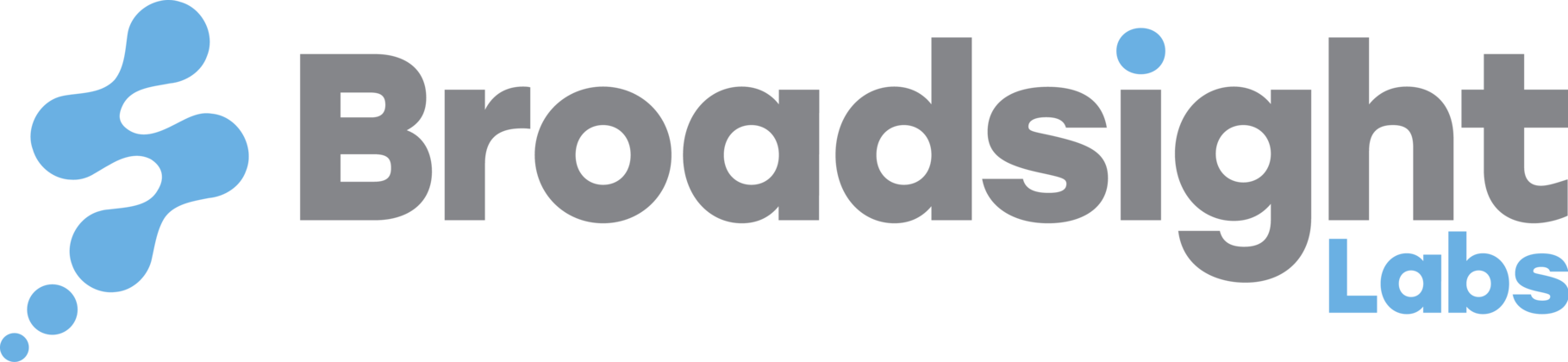 Broadsight Labs logo