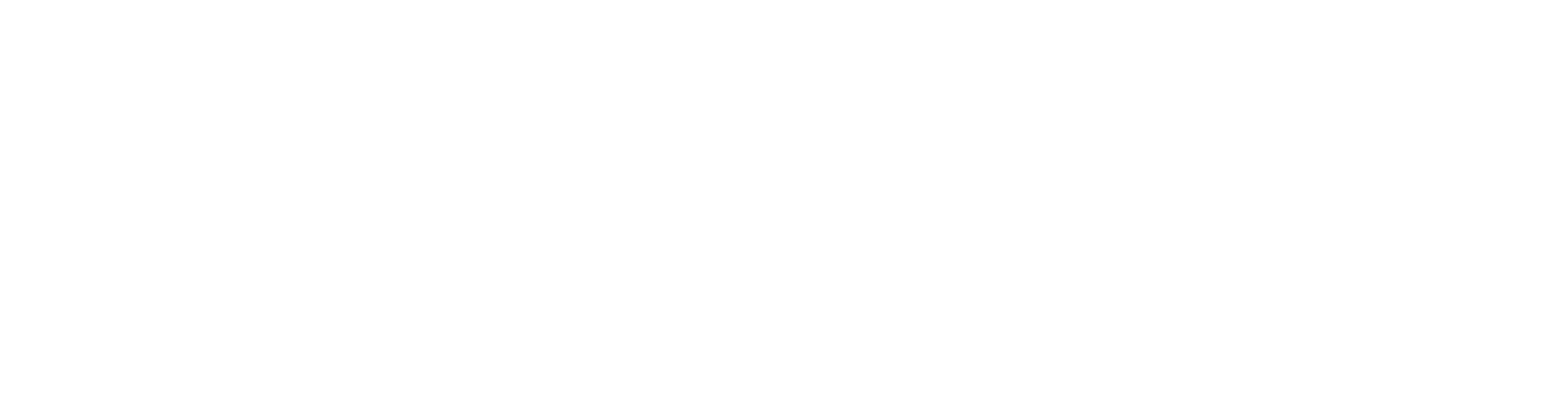 Bleap logo