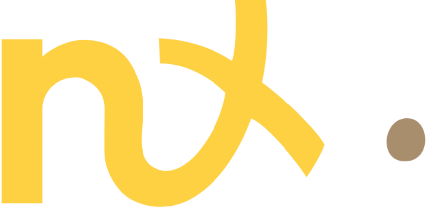 nx logo